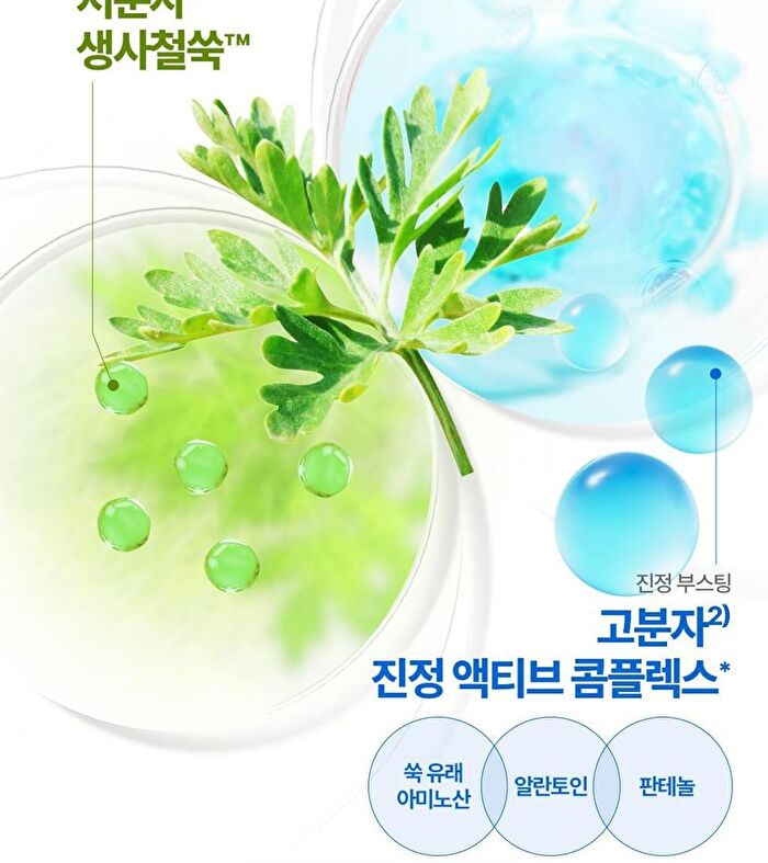 Artemisia Calming EX Toner Pad - 2025 Version - 75 pads