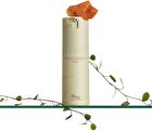 Immortelle Firming Concentrate - 30ml