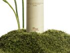 Immortelle Firming Concentrate - 30ml