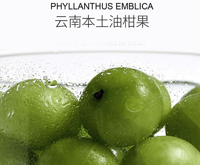 Purifying Anti-Acne Cleansing Mud Mask - 50g
