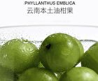 Purifying Anti-Acne Cleansing Mud Mask - 50g