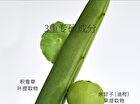 Purifying Anti-Acne Cleansing Mud Mask - 50g