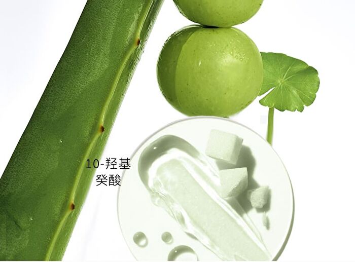 Purifying Anti-Acne Cleansing Mud Mask - 50g