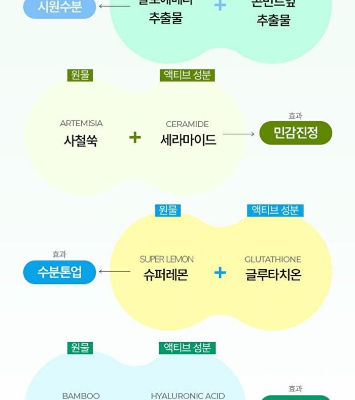 Fresh Mask  - 4 Types - Tea Tree Cica