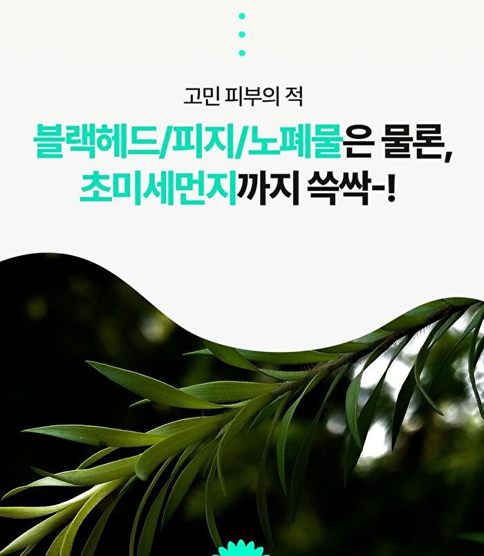 Bring Green Tea Tree Cica Deep Cleaning Oil - 200ml