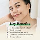 Cushion Veil Calming Mask Set - 35g x 4 sheets