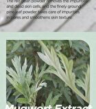 Mugwort Calming Clay Mask Jumbo - 200ml