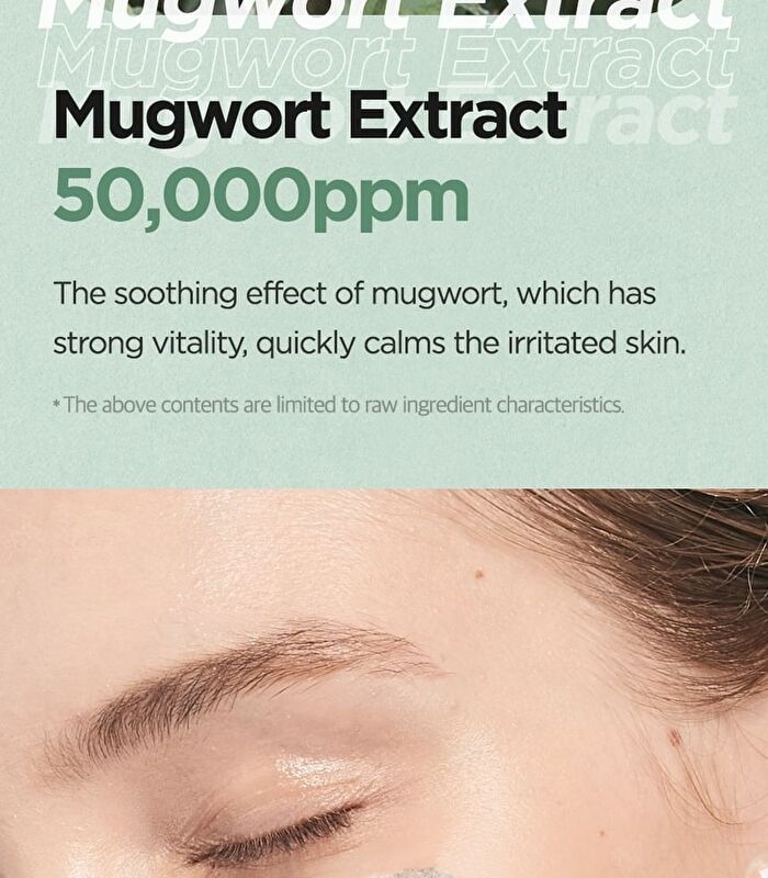 Mugwort Calming Clay Mask Jumbo - 200ml