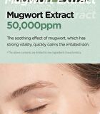 Mugwort Calming Clay Mask Jumbo - 200ml