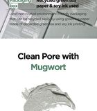 Mugwort Calming Clay Mask Jumbo - 200ml