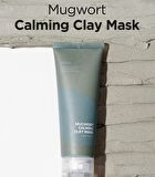 Mugwort Calming Clay Mask Jumbo - 200ml