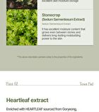 Heartleaf 88 Toner Pad - 70 pads