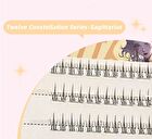 Twelve Constellations Glue Free False Eyelashes - Sagittarius - #11 Sagittarius