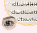 Twelve Constellations Glue Free False Eyelashes - Sagittarius - #11 Sagittarius