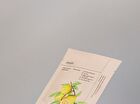 Beauty Mask - 4 Types - Charcoal & Yuja Bubble