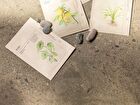 Beauty Mask - 4 Types - Probiotics & Cica Water Soothing