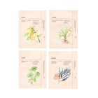 Beauty Mask - 4 Types - Adenosine & Zhi Mu Lifting