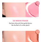 romand Juicy Roll Cheek - 6 Colors - #02 Dragon Berry
