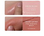 Last Eye Palette - 5 Types - #02 Wish List