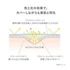 Correcting Veil Concealer - 05