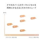 Correcting Veil Concealer - 05