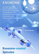 One Day Exosome Shot Pore Ampoule 25000 - 13ml