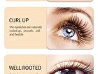 Bioaqua Eyelash Growth Essence - #Essence