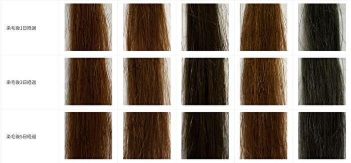 Tenstar Fine Hena Color Hair Dye - 4 Light Brown 40g x 2