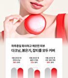 Apple Dewy Fit Cushion Refill Kit - 6 Colors - #21W Vanilla
