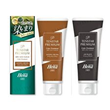 Tenstar Hena Color Premium Hair Color Treatment - Ash Black 200g