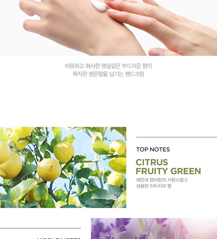 Water Luminous Avocado Nourishing Hand Cream Black Set - 2 pcs
