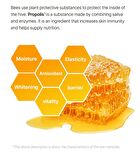 Propolis 1000 Energy Boosting Mask Set - 25ml x 5 sheets
