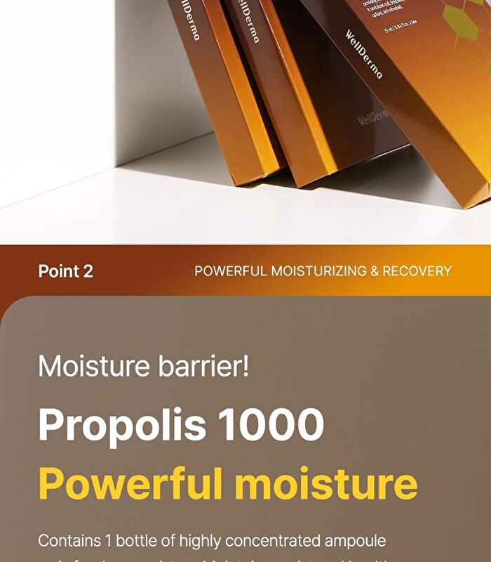 Propolis 1000 Energy Boosting Mask Set - 25ml x 5 sheets