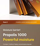 Propolis 1000 Energy Boosting Mask Set - 25ml x 5 sheets