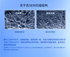 Beauty-fun Water-Extracted Linear Hyaluronic Acid Intense Moisturizing Essence (Travel Size) - Set (1.5ml x 5pcs)