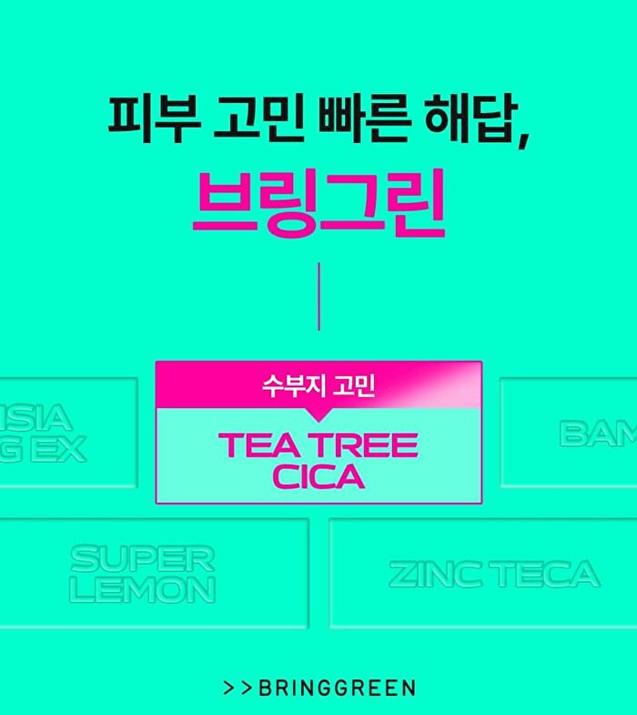 Bring Green Tea Tree Cica Sebum Cleaning Gel Set - 2 pcs
