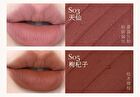 Girlcult Compendium of Materia Medica Series Lovers\' Prattle Lipstick - 7 Colors - S01# Earth - 3.5.g