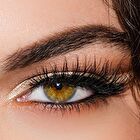 blinc [Pretty Vulgar] Writing on the Wall Eyeliner Pencil - 3 Colors - 48# Brown - 0.5g