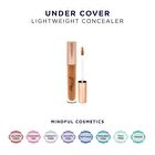 blinc [Pretty Vulgar] Under Cover Concealer - 8 Shades - #62 Tip Toe over the Line (Light to Medium) - 4ml