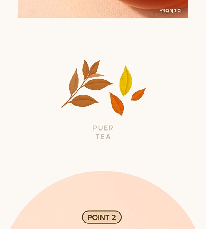 Puer Tea - 0.6g x 40 packets