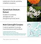 Calendula Balancing Foam Gel Cleanser - 150ml