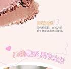 Veecci Mini 4-Color Eyeshadow - 4 Types - M01# Amber Brown - 2.2g