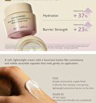 haruharu wonder Black Rice 5 Ceramide Barrier Moisturizing Cream - 50ml