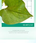 Heartleaf Soothing Green Tone Up Sun Cream - 50ml