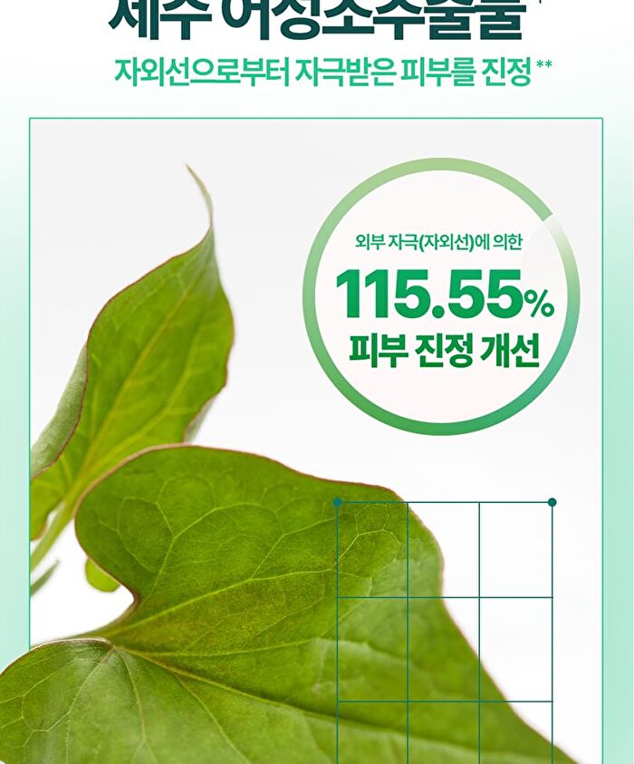 Heartleaf Soothing Hyaluron Sun Serum - 50ml