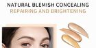 Silky Flawless Concealer - 4-6 - #05
