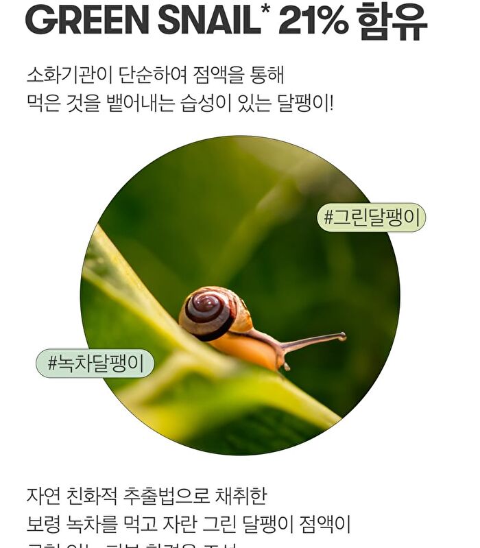 Vt Snail Reedle Shot 100B - 50ml