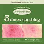 Cica Nut Calming Cream - 60ml