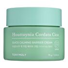 Houttuynia Cordata Cica Quick Calming Barrier Cream - 70g