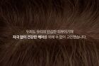 Heveblue Salmon Pullkeratin Centella Hair Shampoo - 500ml